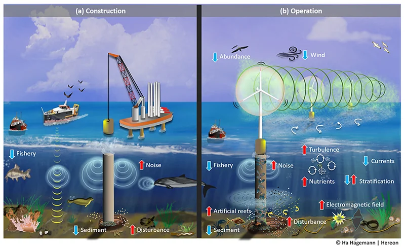 Cover for Why DNV-RP-C205 Matters for Offshore Operations